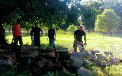 AKTIVIDADE PREPARASAUN LORON RESTAURASAUN 20 DE MAIU