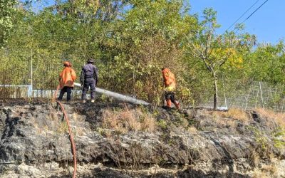 APC RAEOA Halo Intervensaun Kombate Inséndiu Floresta