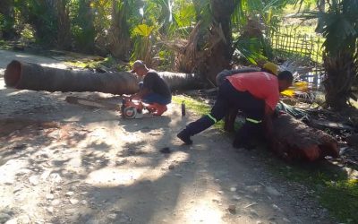 KORPU BOMBEIROS RAEOA TESI AKAR HUN NE’EBÉ MONU IHA ESTRADA PÚBLIKU
