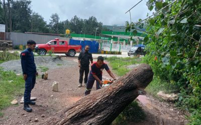 KORPU BOMBEIROS MUNISÍPIU AINARO TESI AI KEKEU NE’EBÉ MONU TAKA DALAN PÚBLKU