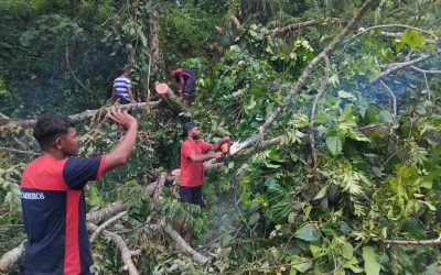 BRIGADA ALFA KORPU BOMBEIROS MANATUTO TESI AI NE’EBÉ TAKA ESTRADA PÚBLIKU