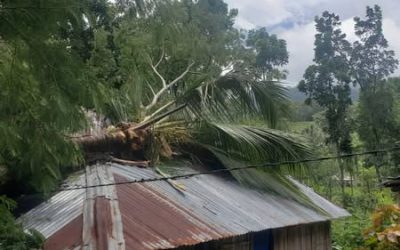 APC BAUCAU VERIFIKA UMA 5 IHA SUKU LAVATERI NO SAMALARI