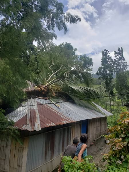 APC BAUCAU VERIFIKA UMA 5 IHA SUKU LAVATERI NO SAMALARI