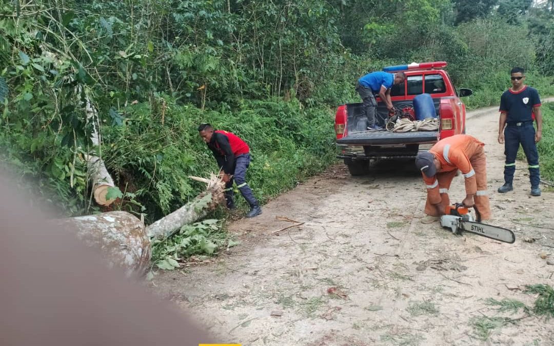 KORPU BOMBEIROS ERMERA TESI AI SAMTUKU NE’EBÉ TOHAR IHA ESTRADA PÚBLIKU MANUSAE
